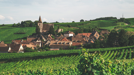 Village alsacien dans le vignoble - Route des vins d'Alsace